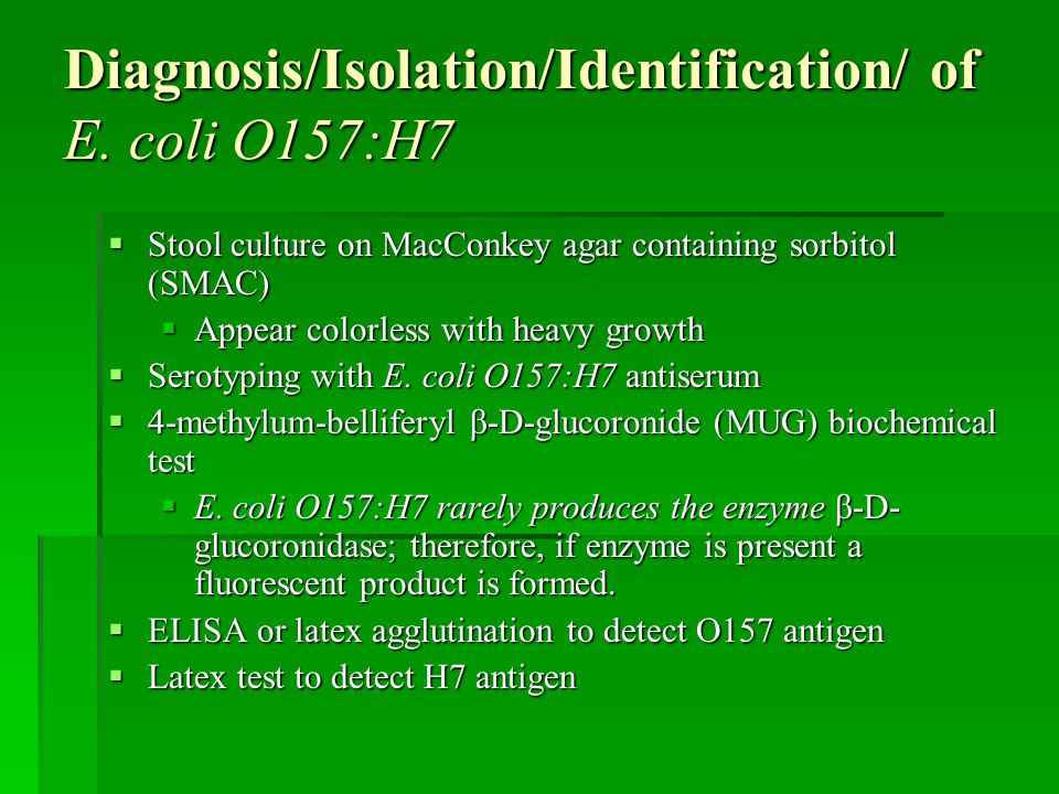 Escherichia coli 0157:H7